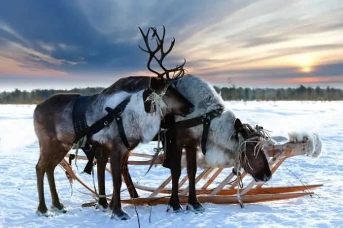 L'as du Voyage sur Mesure — photo 4