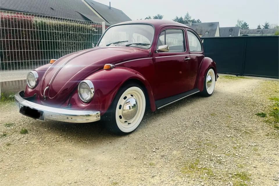 Cox Drive — photo 5