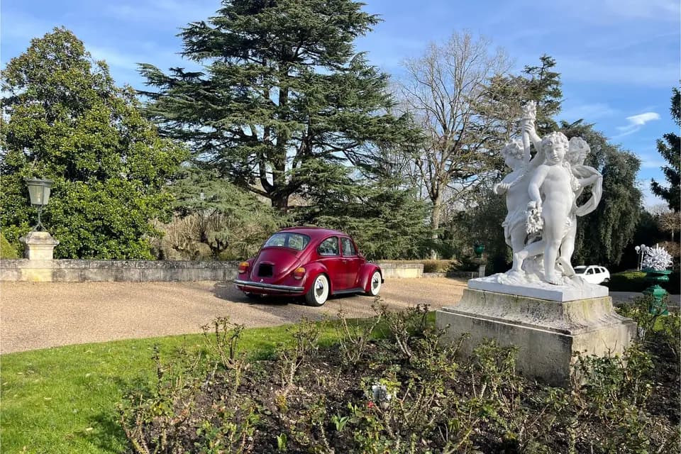 Cox Drive — photo 4