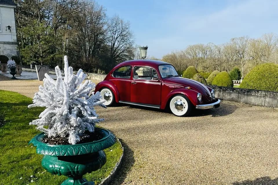 Cox Drive — photo 2