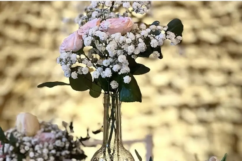 Perlimpapier — photo 8