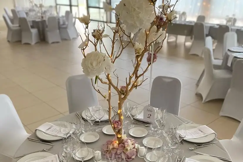 Perlimpapier — photo 7