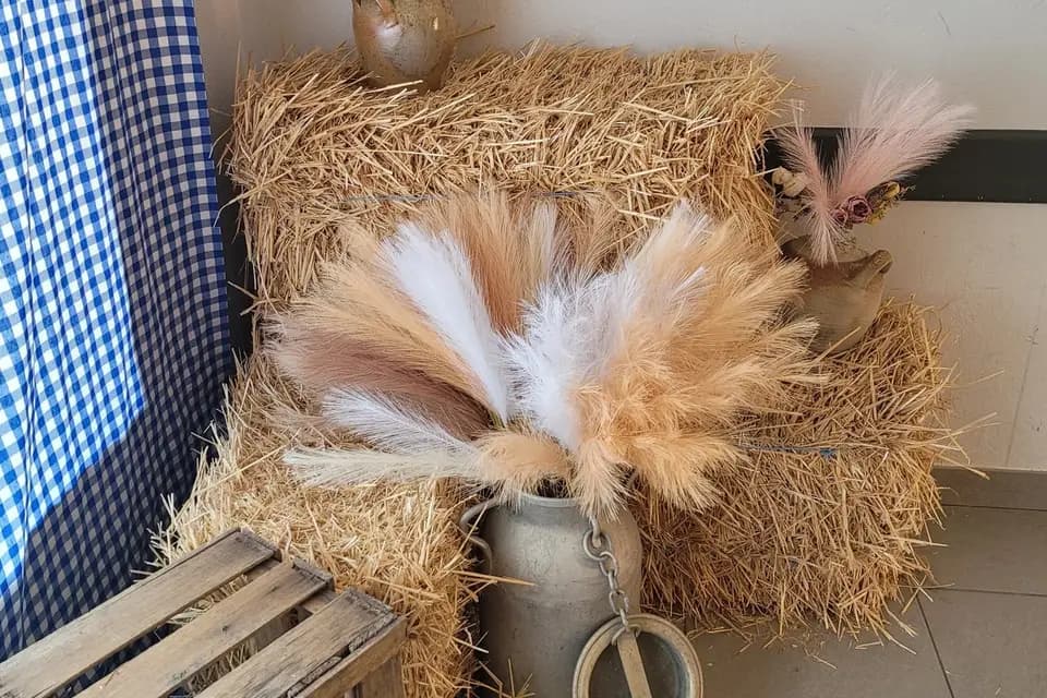 Elle s'en mêle — photo 8