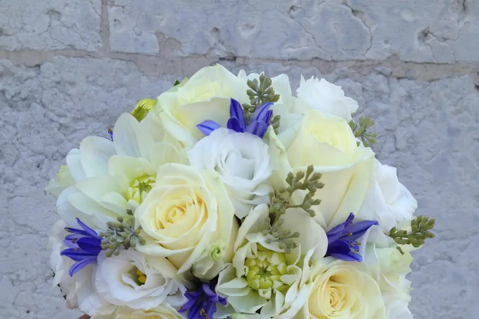 Esprit Nature — photo 7