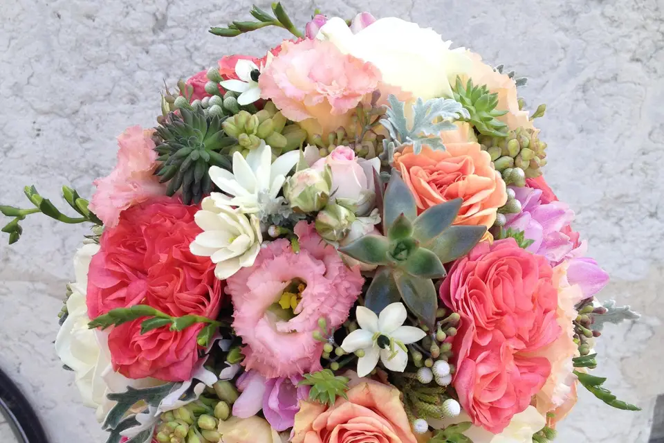 Esprit Nature — photo 6