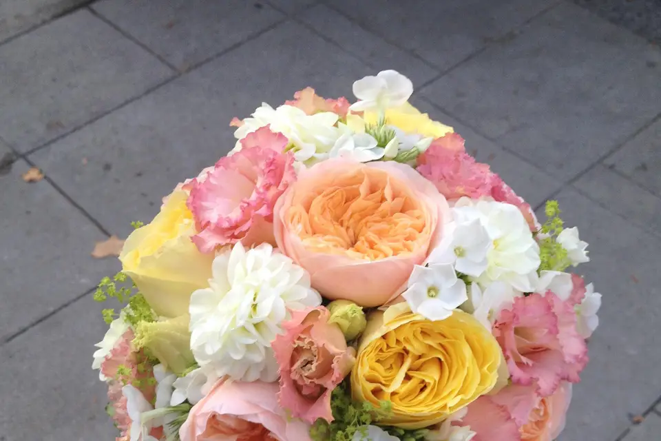 Esprit Nature — photo 8