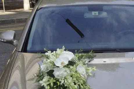 Esprit Nature — photo 5