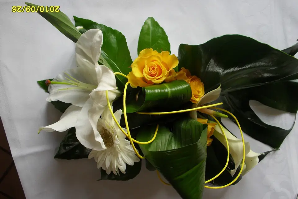 Bouvier Fleuriste — photo 7