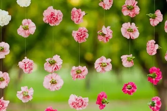 béFlowers — photo 7