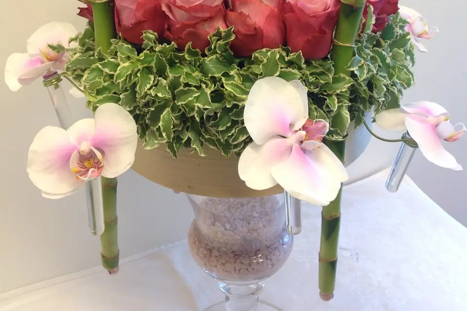 béFlowers — photo 1