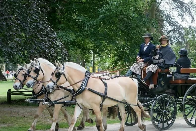 Les Attelages des 4 Fils Aymon — photo 1