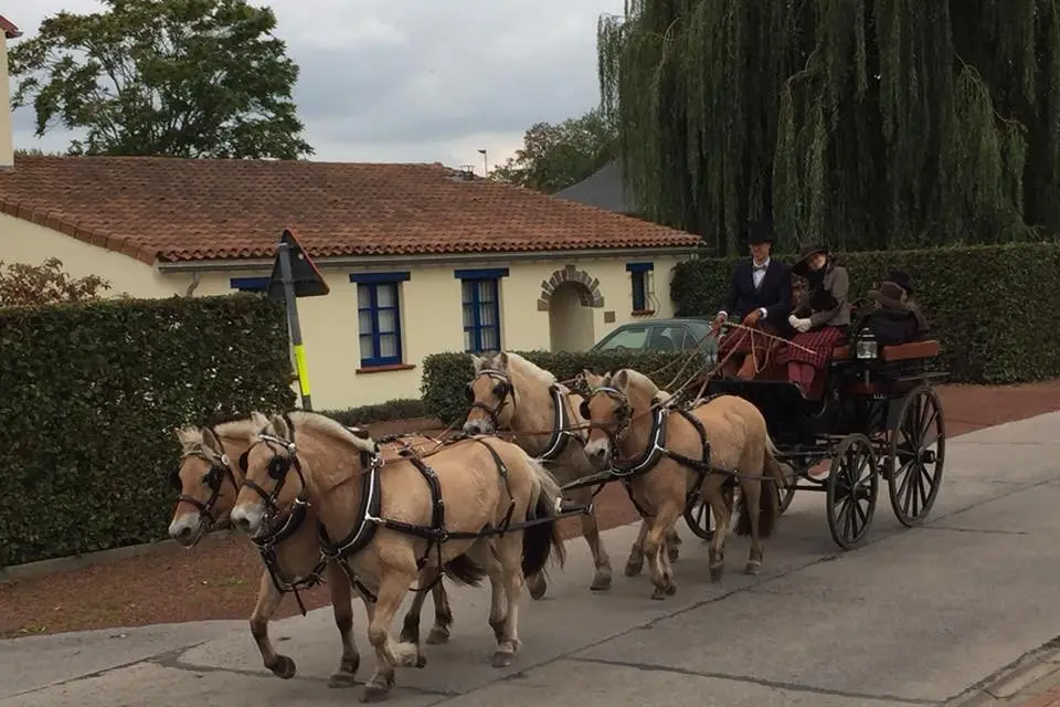 Les Attelages des 4 Fils Aymon — photo 3