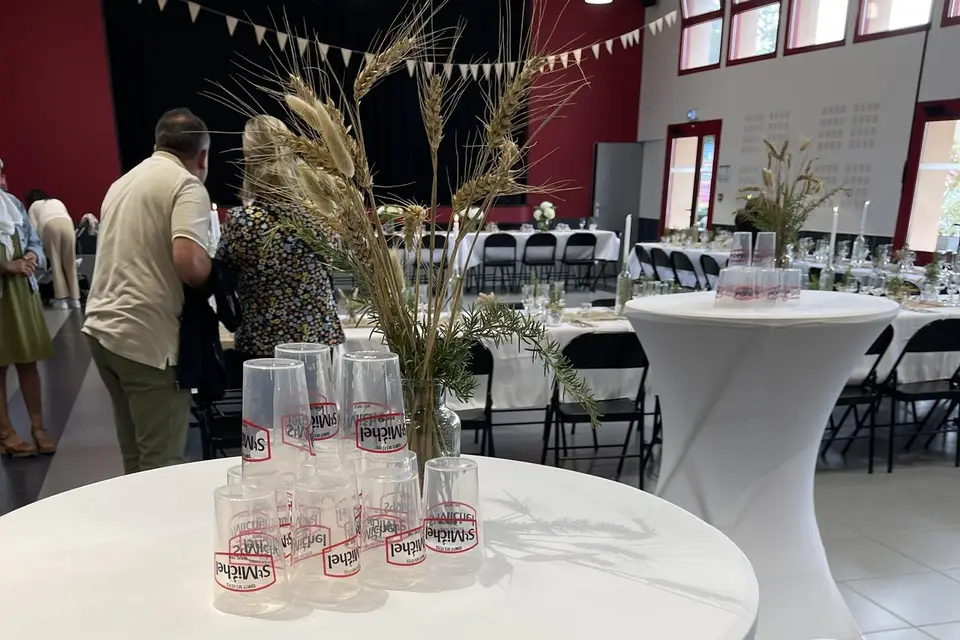 Fiesta Concept — photo 7