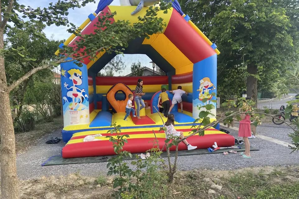 Fiesta Concept — photo 3