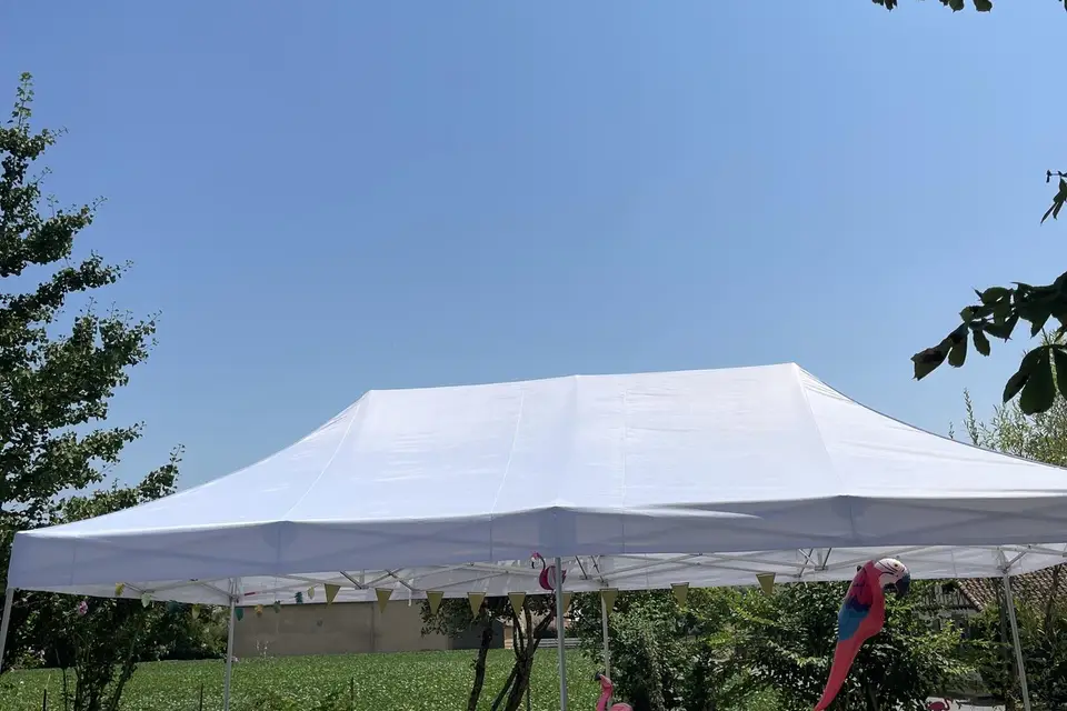 Fiesta Concept — photo 1