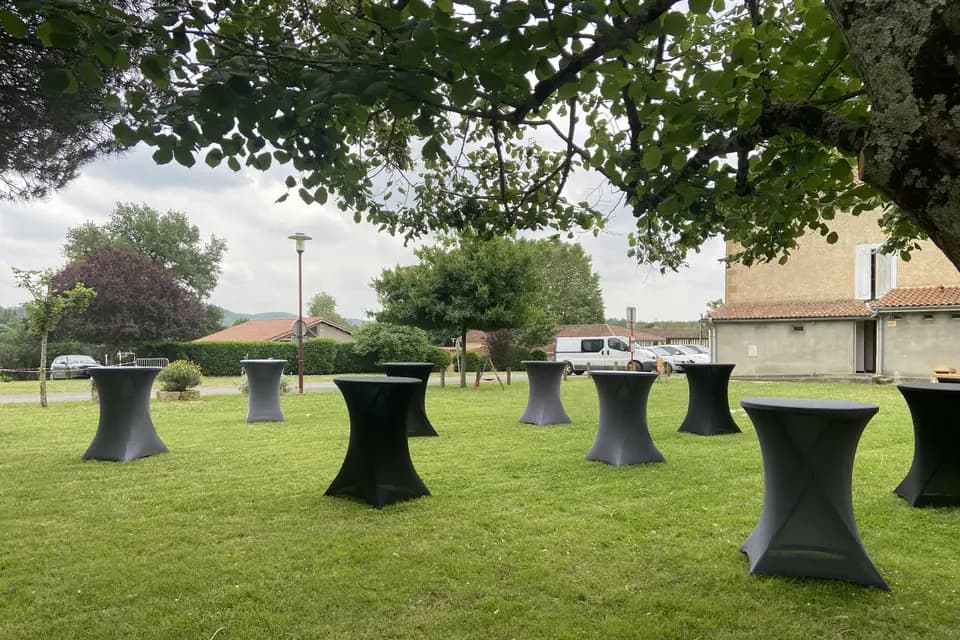 Fiesta Concept — photo 4