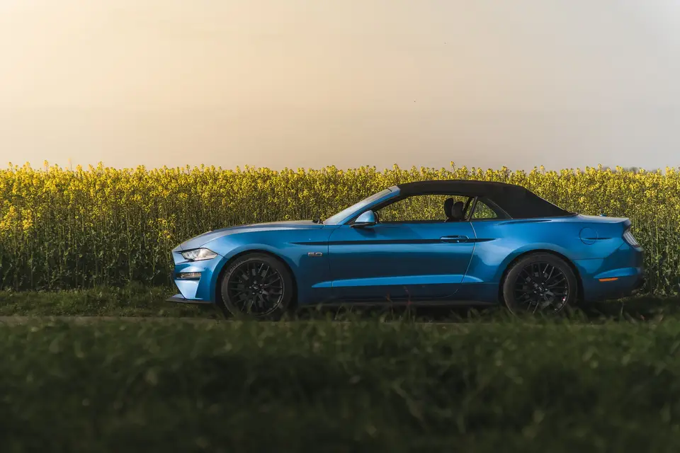 American Dream 64 — photo 2