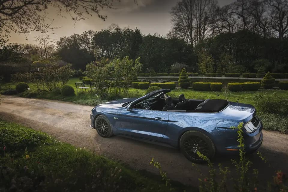 American Dream 64 — photo 5