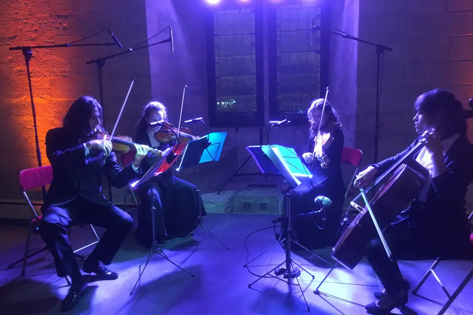 Alice Production — photo 4