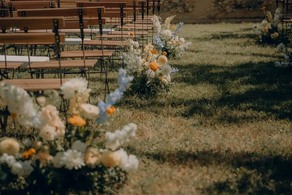 Cosmos politaine — photo 4