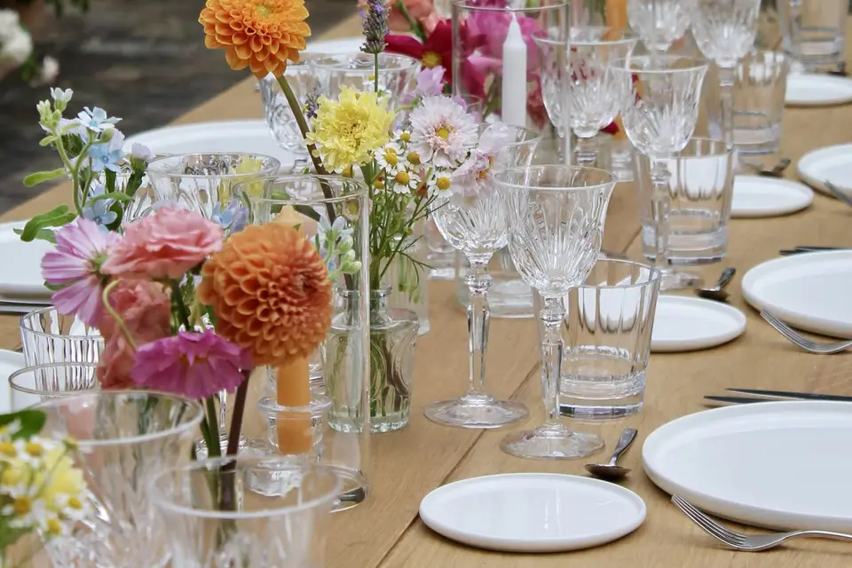 Cosmos politaine — photo 8