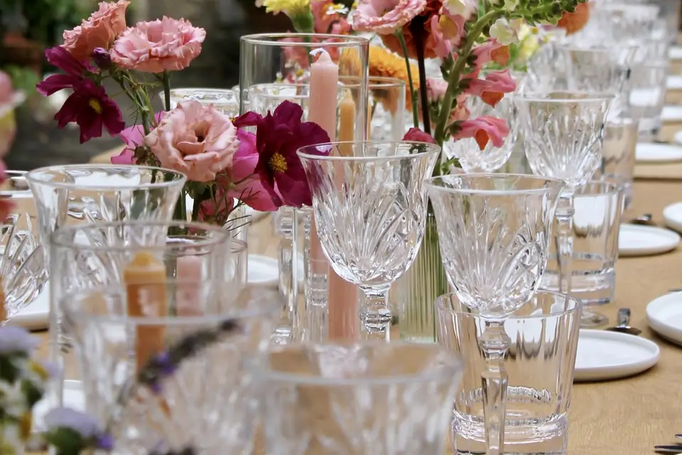 Cosmos politaine — photo 1