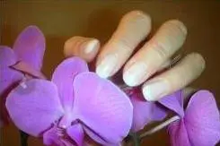 Ongles en Main — photo 6