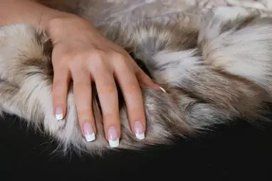 Ongles en Main — photo 7