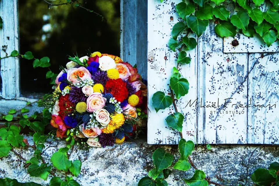 Stylistudio — photo 4