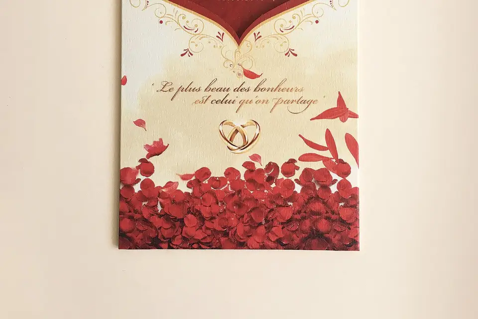 ALM Visuels — photo 1