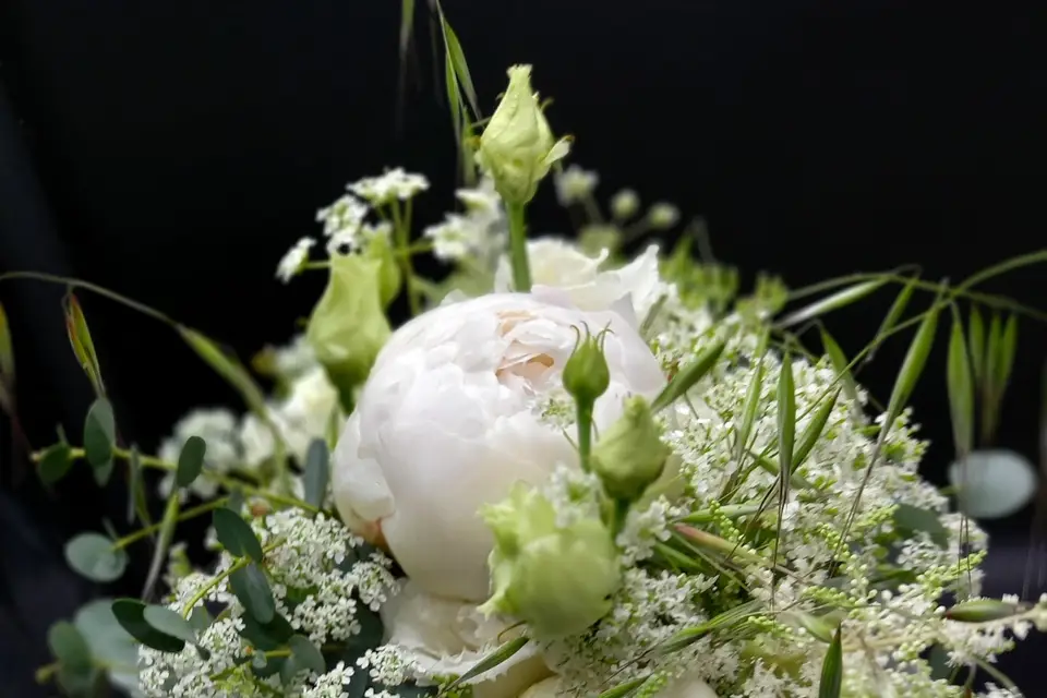 Pass Rose — photo 4