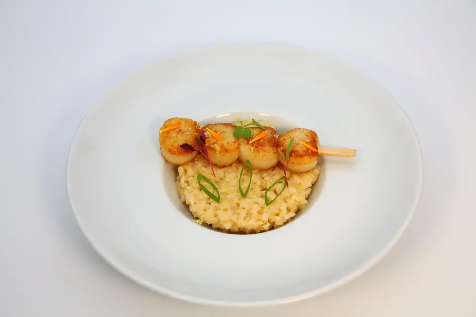 Noam Paris — photo 5