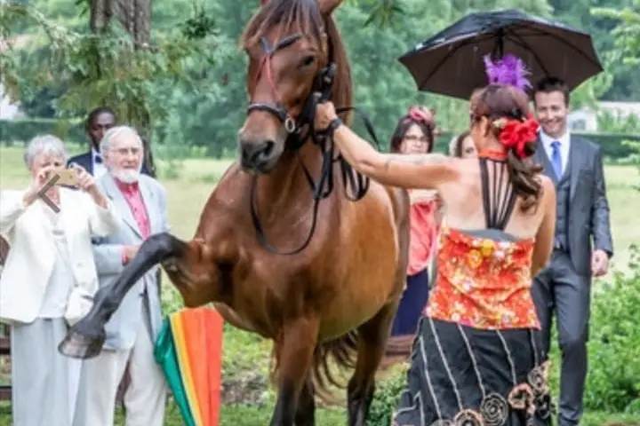 Horse Connect40 Events — photo 5