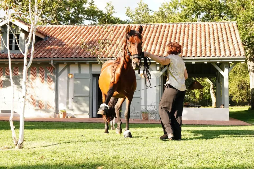 Horse Connect40 Events — photo 7