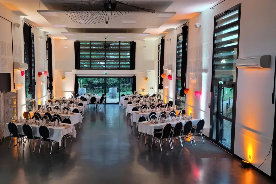 Disco Mobile Animation — photo 5