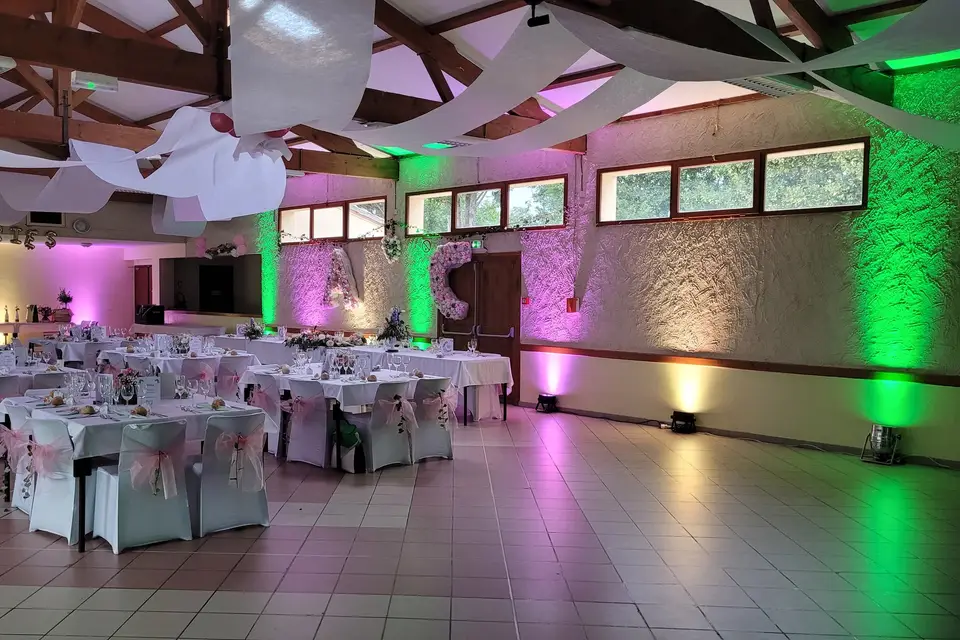 Disco Mobile Animation — photo 4