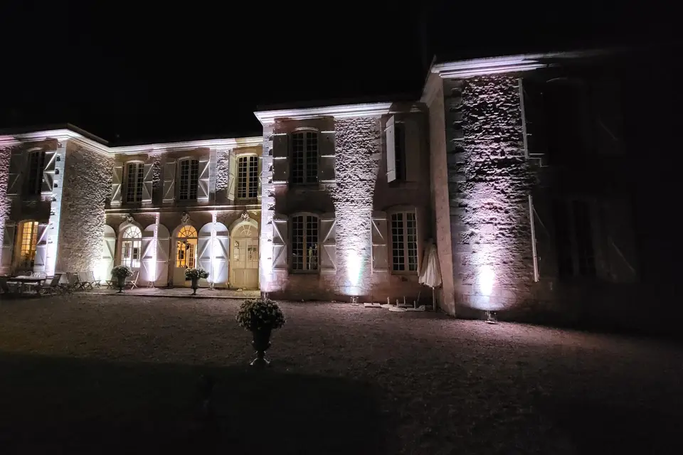 Disco Mobile Animation — photo 2