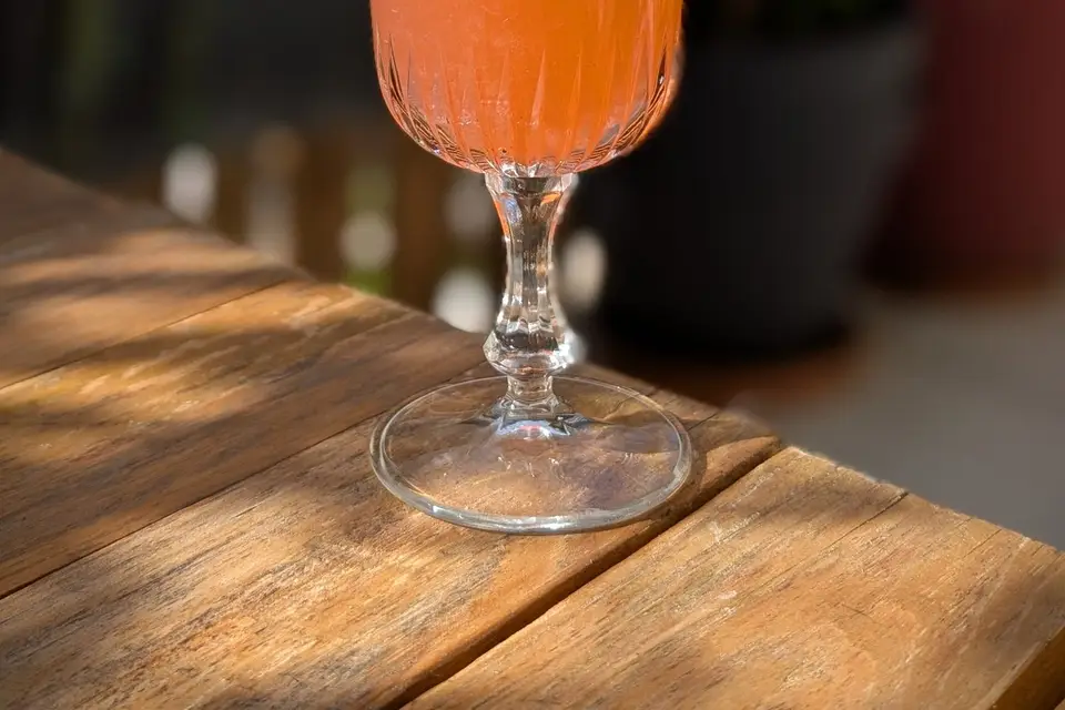 Avec Plaisir - Sans alcool