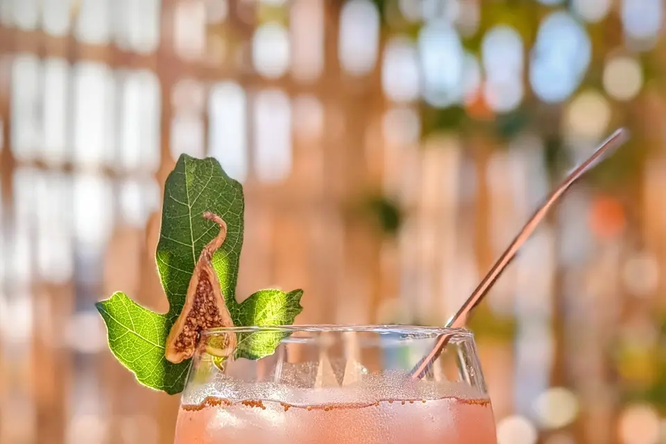 Avec Plaisir - Sans alcool — photo 5