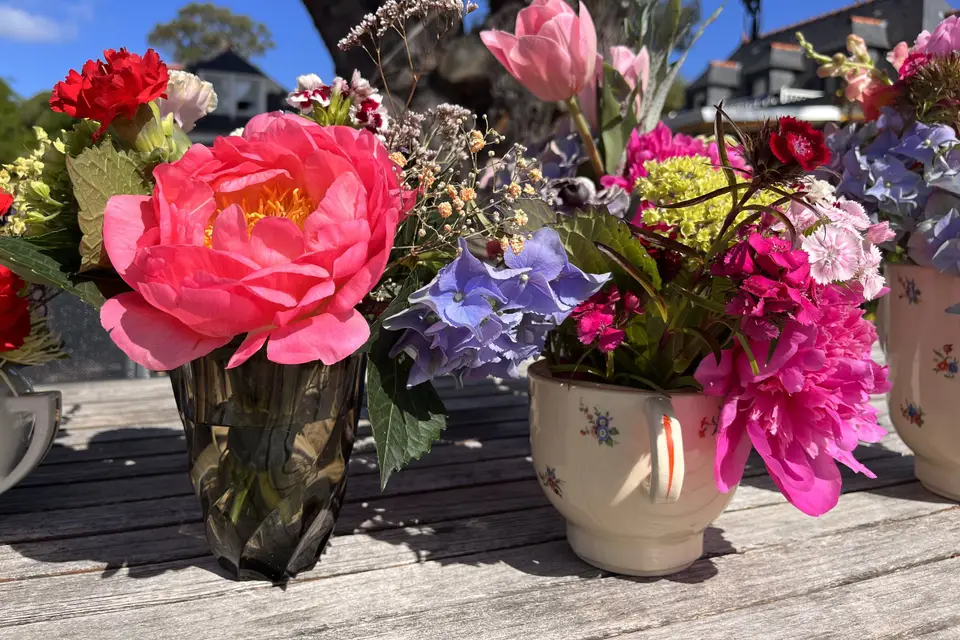 Chez Clara — photo 4