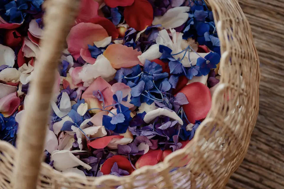 Chez Clara — photo 5