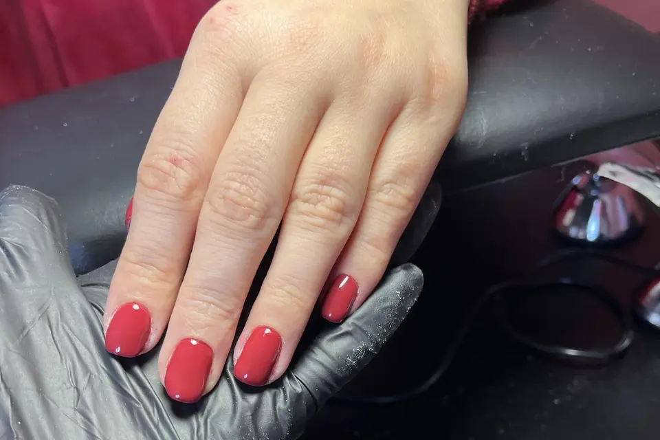 L’Atelier d’Alex — photo 7