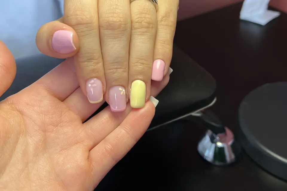 L’Atelier d’Alex