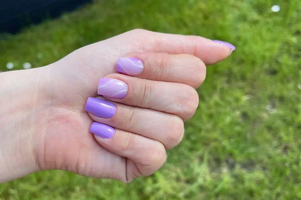 L’Atelier d’Alex — photo 1