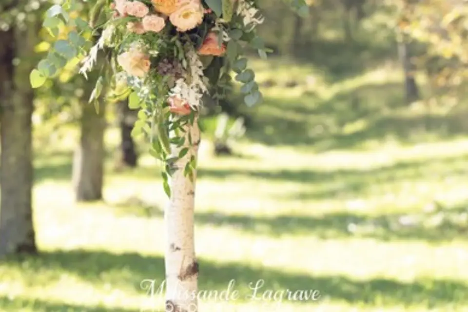 Evelise Artisan Fleuriste — photo 7