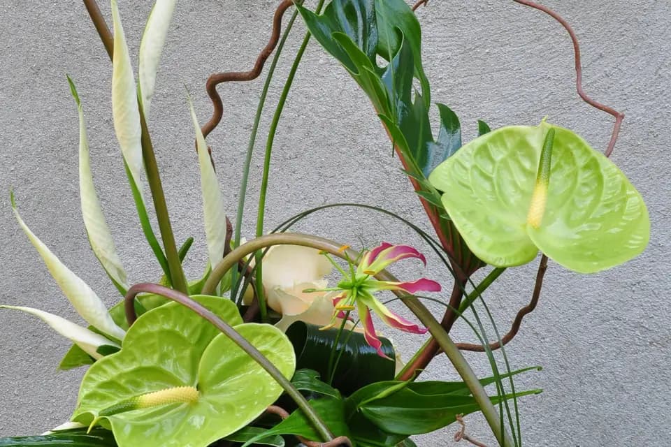 Trefleurs — photo 7