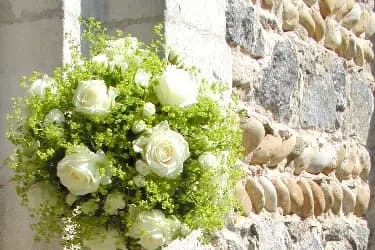 Trefleurs — photo 3