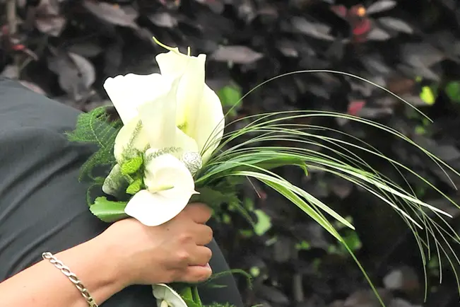 Trefleurs — photo 5