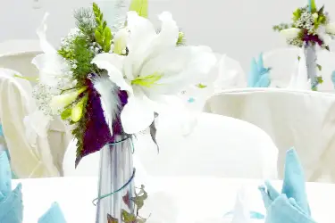 Trefleurs — photo 6