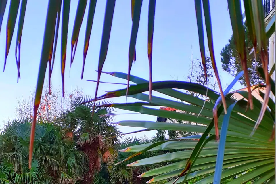 Villa Bellevue — photo 4